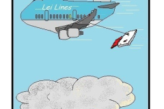 LeiToon-Amerika-2